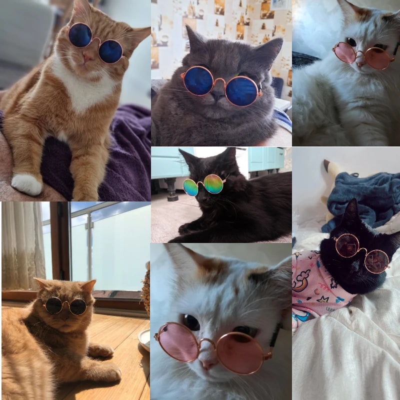 Óculos Estilosos para Pets – Gatos e Cães Pequenos