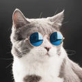 Óculos Estilosos para Pets – Gatos e Cães Pequenos