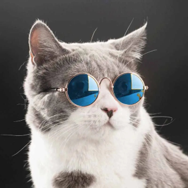 Óculos Estilosos para Pets – Gatos e Cães Pequenos